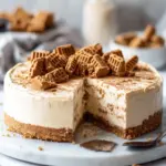 Creamy No Bake Biscoff Cheesecake Ready in 20 Minutes 7 No Bake Biscoff Cheesecake