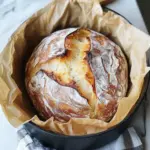 Easy No Knead Bread Recipe for Home Bakers Ready to Shine 3 Easy No Knead Bread