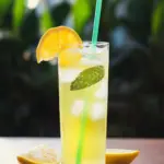 Tropical Monkey in a Tree Drink Recipe for Ultimate Refreshment 7 Monkey in a Tree Drink Recipe