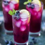 Delightful Blueberry Vodka Lemonade for Your Summer Bash 16 Blueberry Vodka Lemonade
