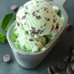 Homemade Mint Chocolate Chip Ice Cream That’s Simply Irresistible 6 Mint Chocolate Chip Ice Cream