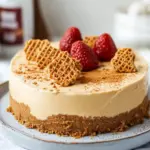 Deliciously Easy No-Bake Lotus Biscoff Cheesecake Recipe 7 Easy No-Bake Lotus Biscoff Cheesecake Recipe